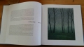 Gesneden Stilte, boek Grietje Postma, bomen winter